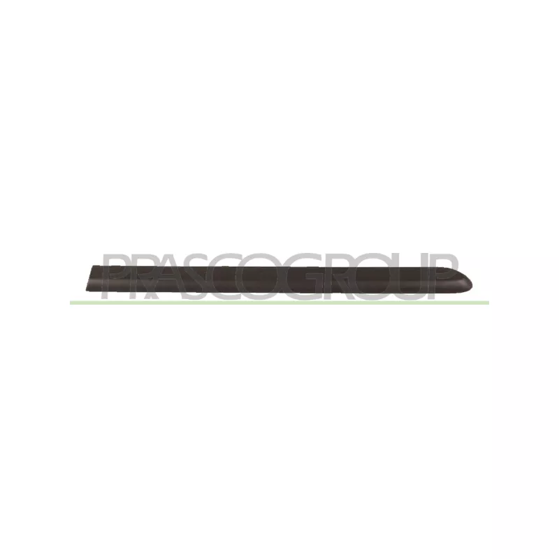 Baguette et bande protectrice, porte arrière gauche PRASCO FT9081454