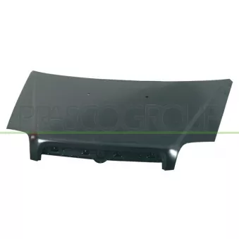 Capot-moteur PRASCO FT9083100