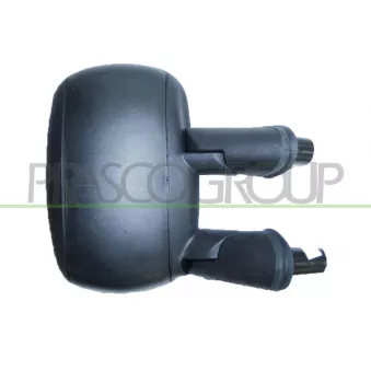 Rétroviseur extérieur PRASCO FT9087003