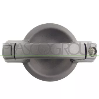 Poignée extérieure de porte arrière droit PRASCO FT9088101