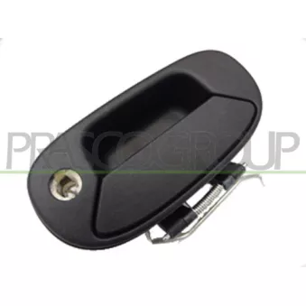 Poignée extérieure de porte PRASCO FT9088342