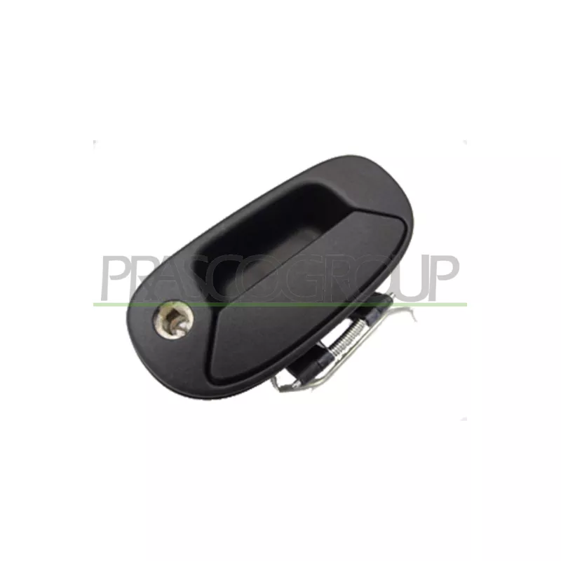 Poignée extérieure de porte PRASCO FT9088342