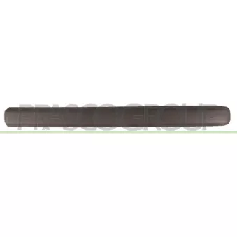 Baguette et bande protectrice, porte avant droit PRASCO FT9091403