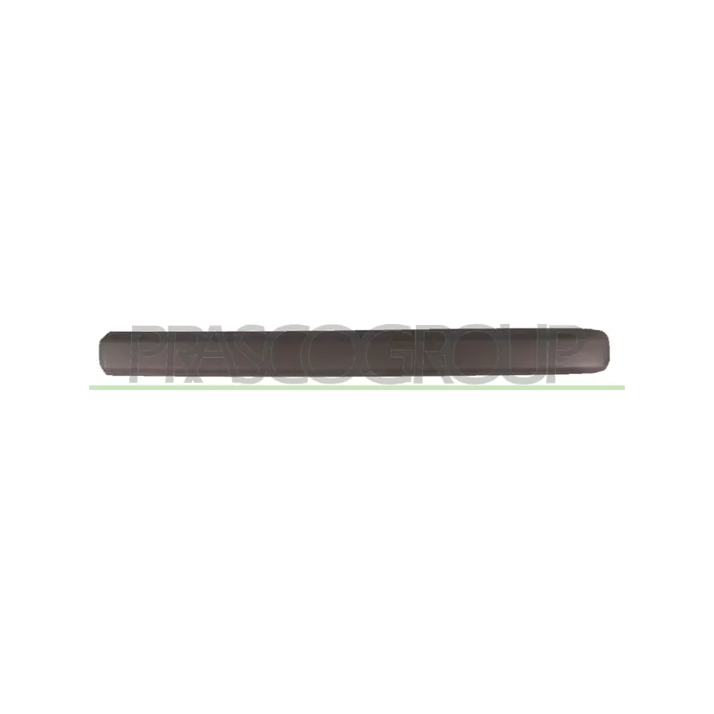 Baguette et bande protectrice, porte avant droit PRASCO FT9091403