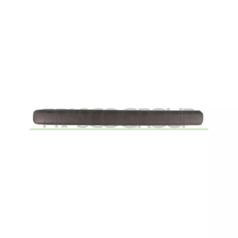 Baguette et bande protectrice, porte avant gauche PRASCO FT9091404