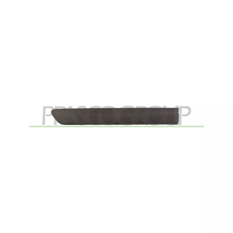 Baguette et bande protectrice, porte arrière droit PRASCO FT9091453