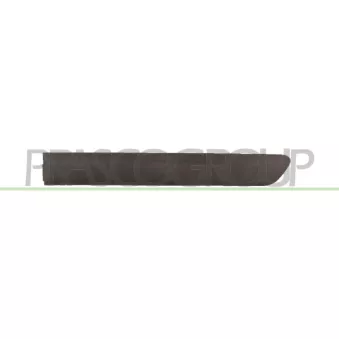 Baguette et bande protectrice, porte arrière gauche PRASCO FT9091454