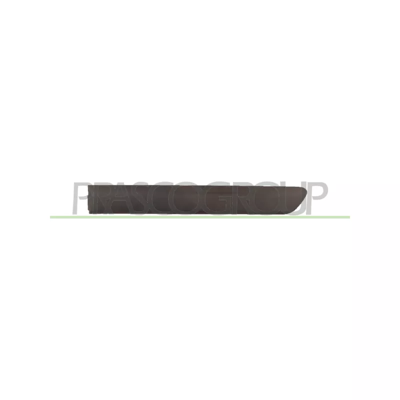Baguette et bande protectrice, porte arrière gauche PRASCO FT9091454