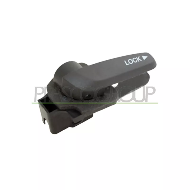 Poignet de porte, équipment intérieur avant gauche PRASCO FT9098402