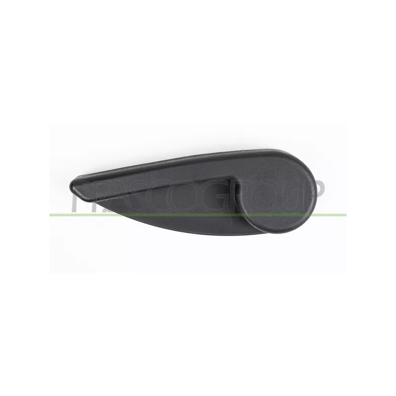 Poignet de porte, équipment intérieur PRASCO FT9098502