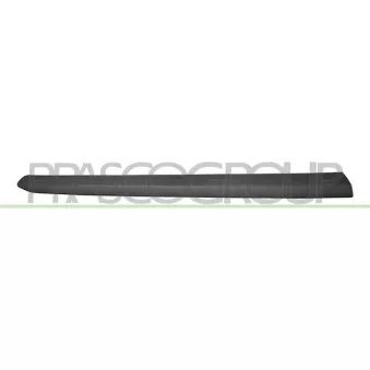 Baguette et bande protectrice, porte avant droit PRASCO FT9101403