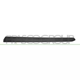 Baguette et bande protectrice, porte avant gauche PRASCO FT9101404