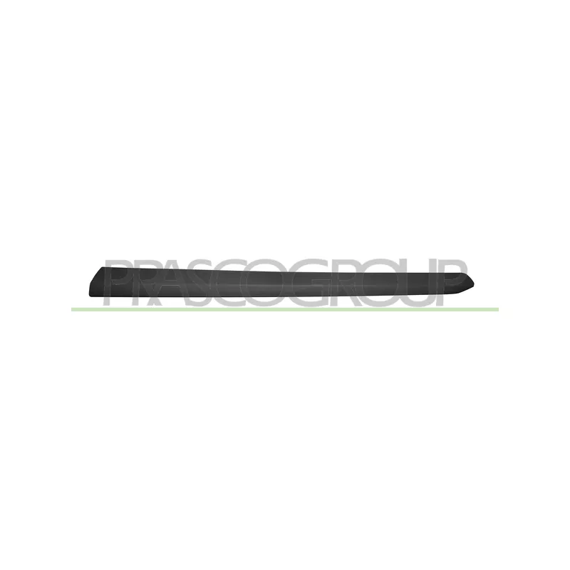 Baguette et bande protectrice, porte avant gauche PRASCO FT9101404