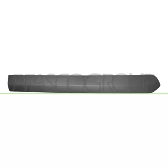 Baguette et bande protectrice, porte arrière droit PRASCO FT9101453