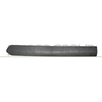 Baguette et bande protectrice, porte arrière gauche PRASCO FT9101454