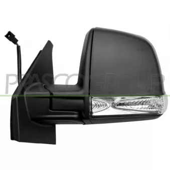 Rétroviseur extérieur PRASCO FT9107314