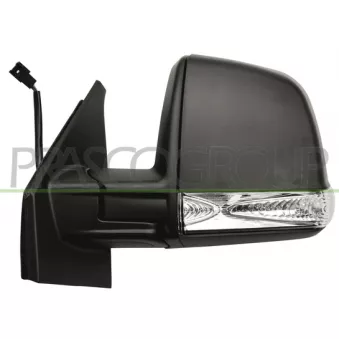 Rétroviseur extérieur PRASCO FT9107324