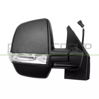 Rétroviseur extérieur PRASCO FT9107333