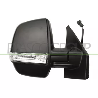 Rétroviseur extérieur PRASCO FT9107335