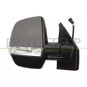 Rétroviseur extérieur PRASCO FT9107345
