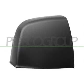 Revêtement, rétroviseur extérieur PRASCO FT9107403