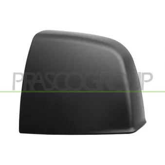 Revêtement, rétroviseur extérieur PRASCO FT9107404