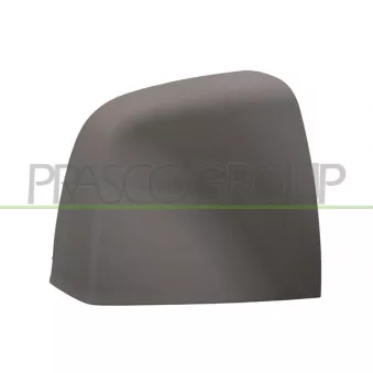 Revêtement, rétroviseur extérieur PRASCO FT9107413