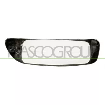 Verre de rétroviseur, rétroviseur extérieur PRASCO FT9107533