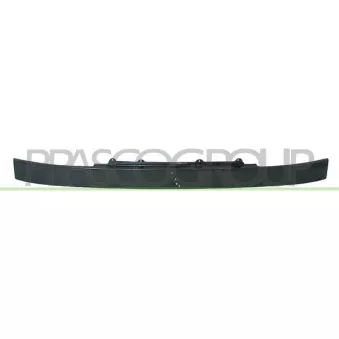 Grille de radiateur PRASCO FT9192001