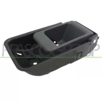 Poignet de porte, équipment intérieur avant gauche PRASCO FT9198417
