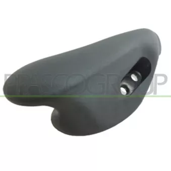 Poignet de porte, équipment intérieur avant droit PRASCO FT9208407