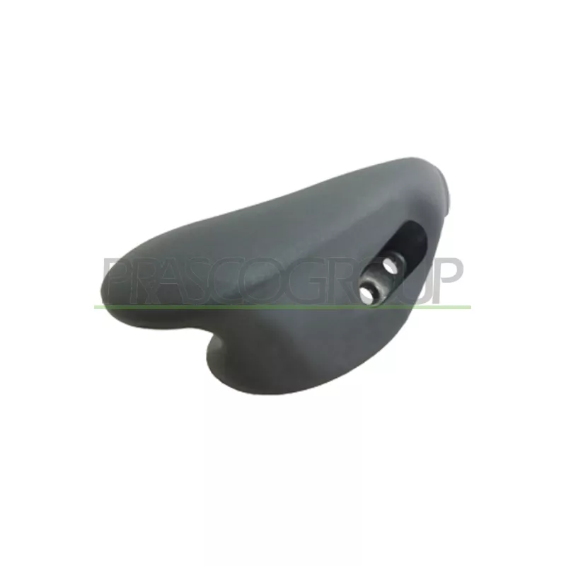 Poignet de porte, équipment intérieur avant droit PRASCO FT9208407