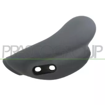 Poignet de porte, équipment intérieur avant gauche PRASCO FT9208408