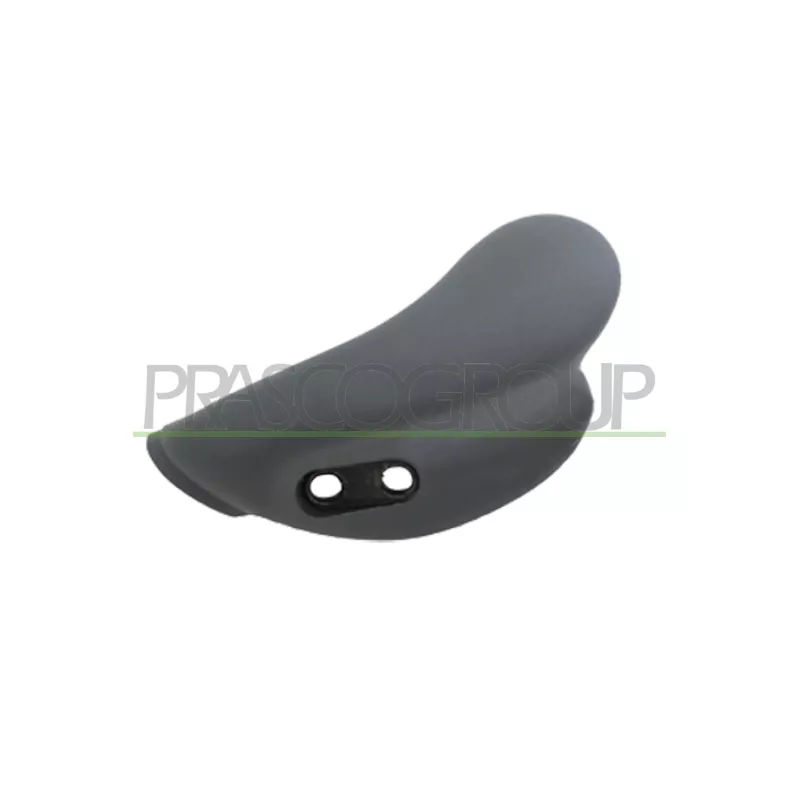 Poignet de porte, équipment intérieur avant gauche PRASCO FT9208408