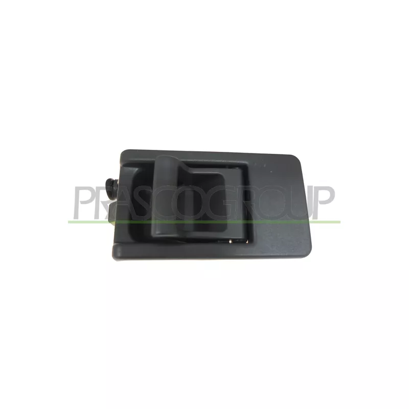 Poignet de porte, équipment intérieur arrière droit PRASCO FT9208501