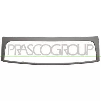 Cadre, grille de radiateur PRASCO FT9232305