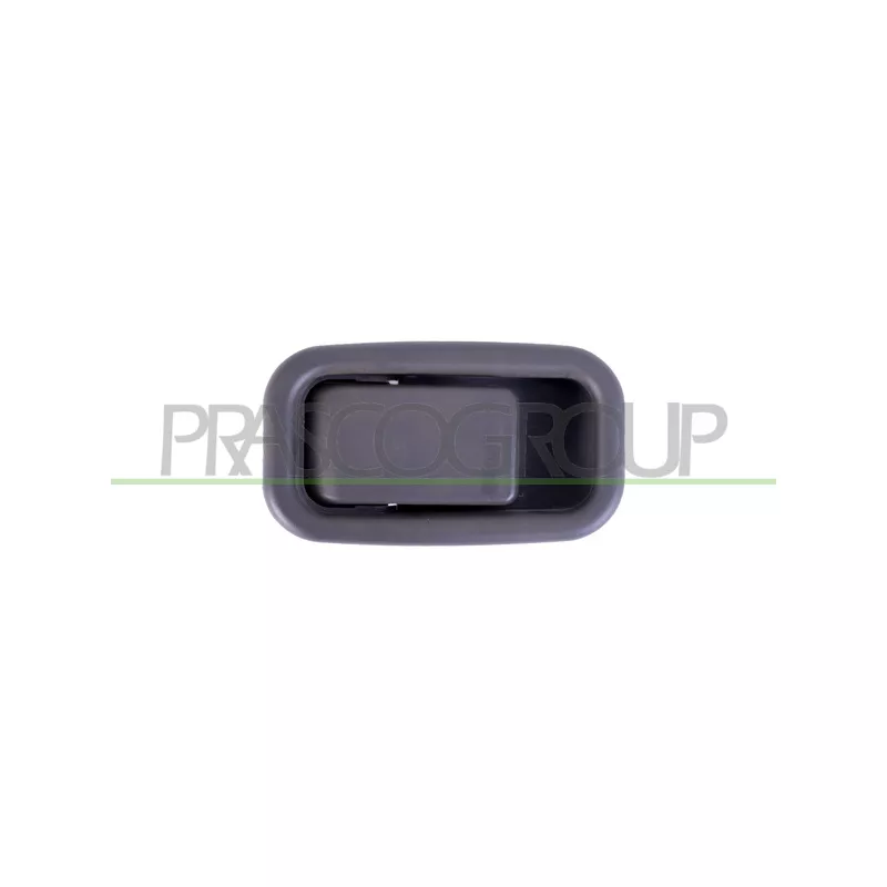 Poignée extérieure de porte PRASCO FT9248401