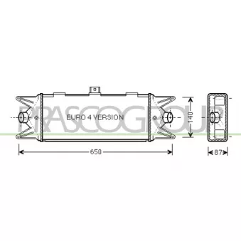 Intercooler, échangeur PRASCO FT926N001