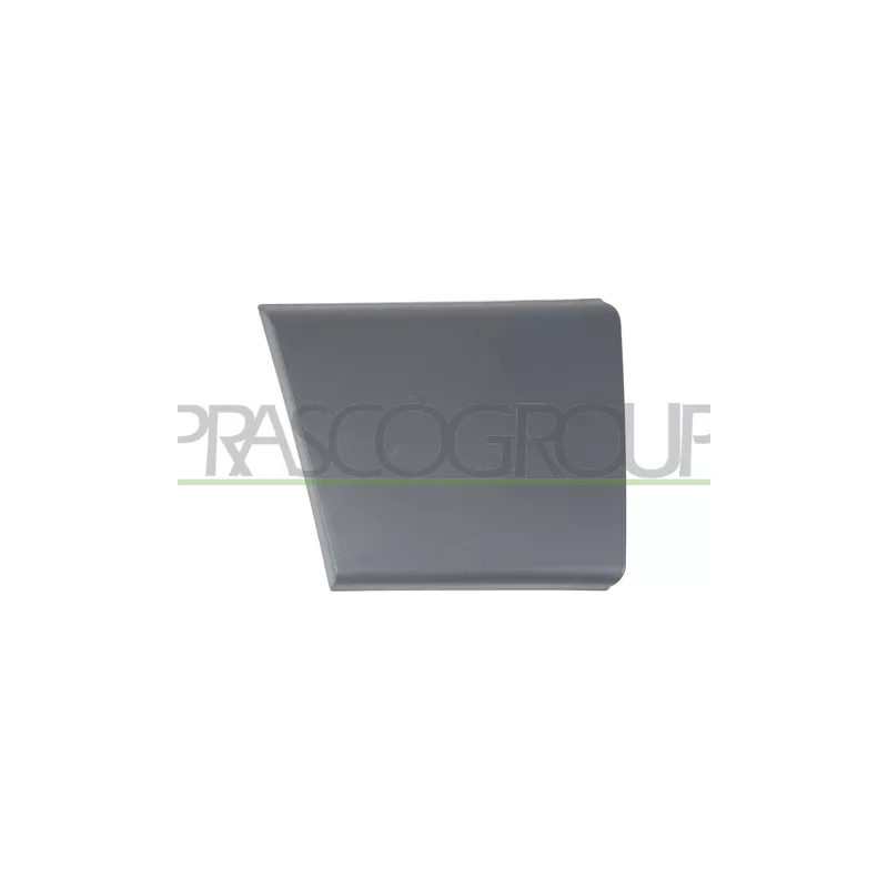 Baguette et bande protectrice, porte avant droit PRASCO FT9301405