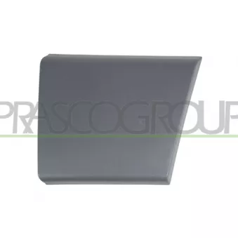 Baguette et bande protectrice, porte avant gauche PRASCO FT9301406