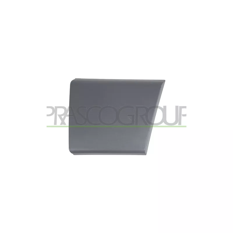 Baguette et bande protectrice, porte avant gauche PRASCO FT9301406