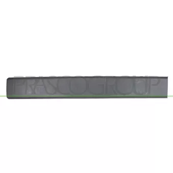 Baguette et bande protectrice, porte arrière gauche PRASCO FT9301454