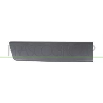 Baguette et bande protectrice, porte arrière droit PRASCO FT9301455
