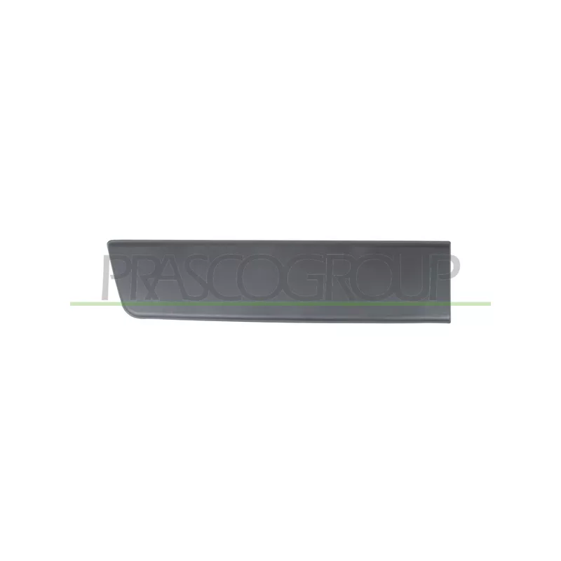 Baguette et bande protectrice, porte arrière droit PRASCO FT9301455