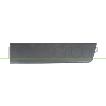 Baguette et bande protectrice, porte arrière droit PRASCO FT9301456