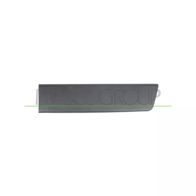 Baguette et bande protectrice, porte arrière droit PRASCO FT9301456