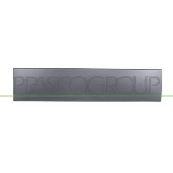 Baguette et bande protectrice, porte arrière droit PRASCO FT9301457