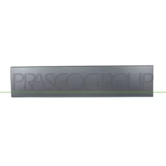 Baguette et bande protectrice, porte arrière gauche PRASCO FT9301458