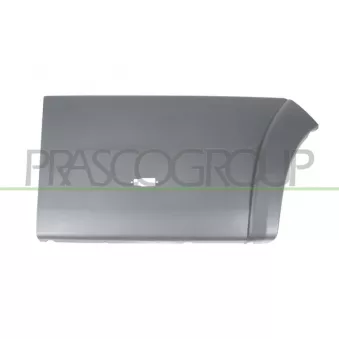 Baguette et bande protectrice, porte arrière droit PRASCO FT9301465