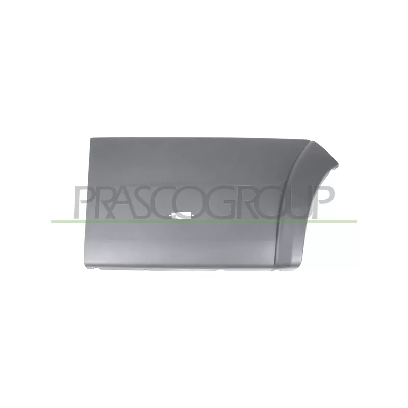 Baguette et bande protectrice, porte arrière droit PRASCO FT9301465